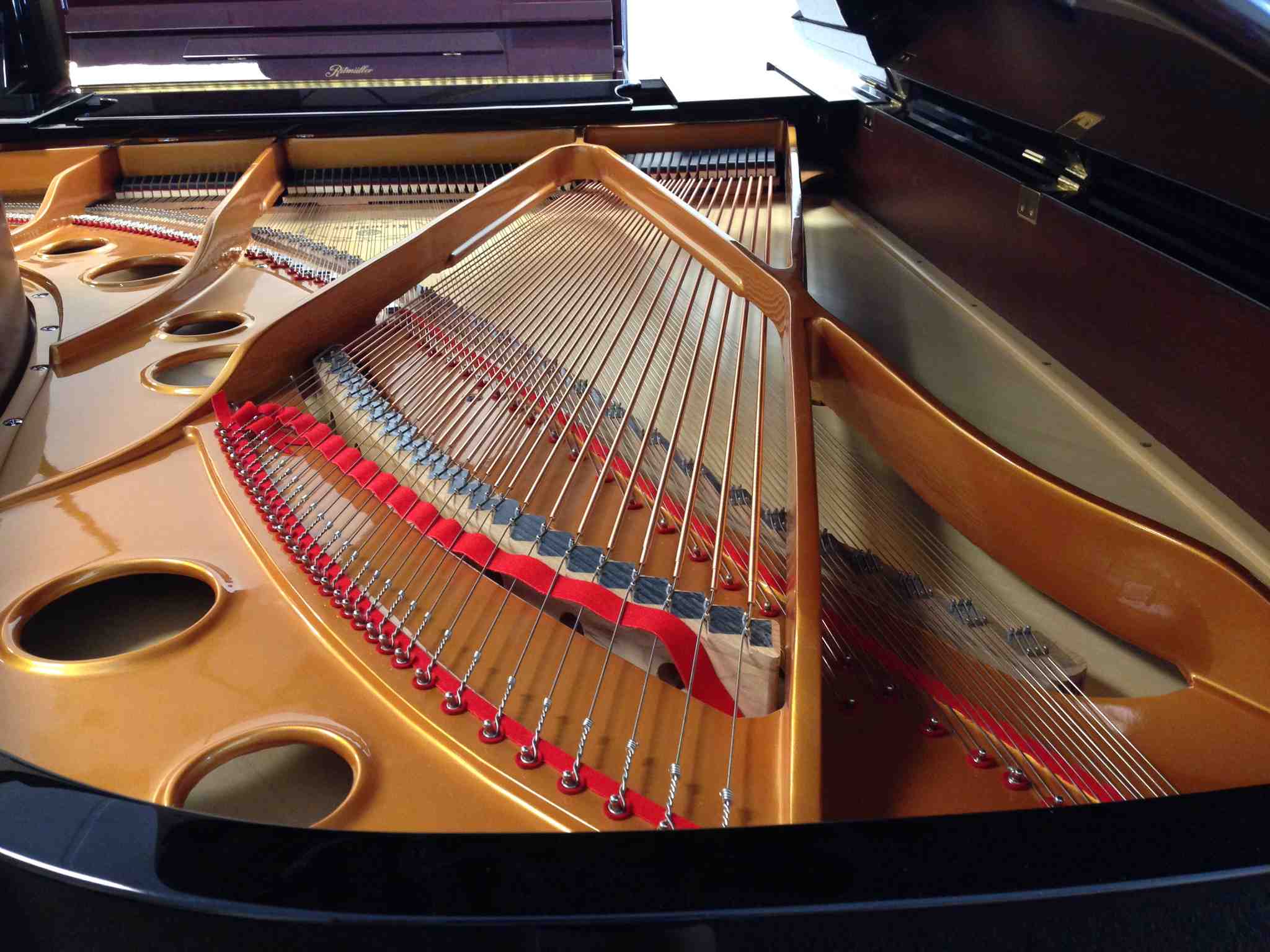 Ritmüller Grand Piano Inside from Back Ritmüller piano - Ritmüller Grand Piano Inside from Back